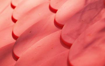 Smallburn plastic roof costs